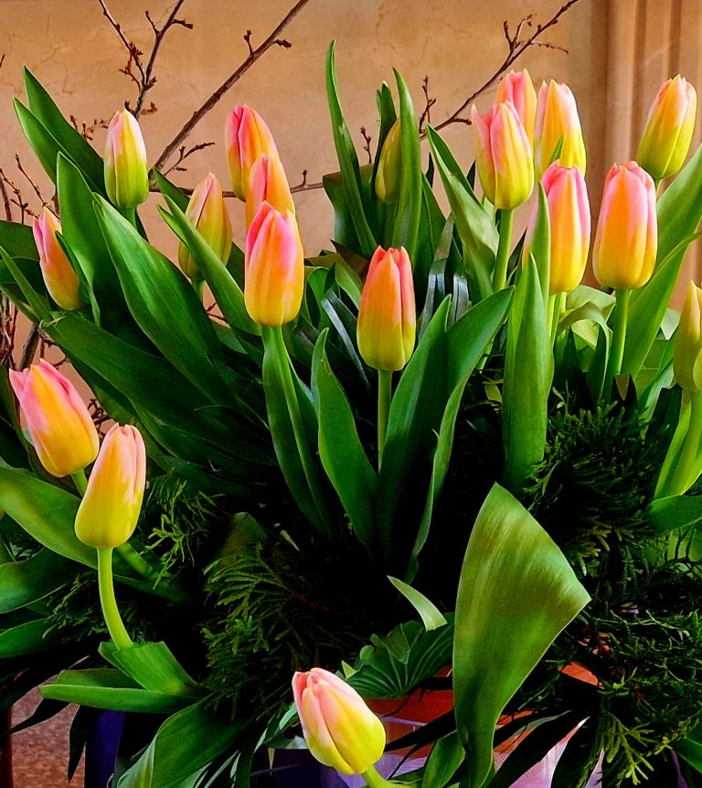 IV Niedziela Wielkiego Postu – Laetare